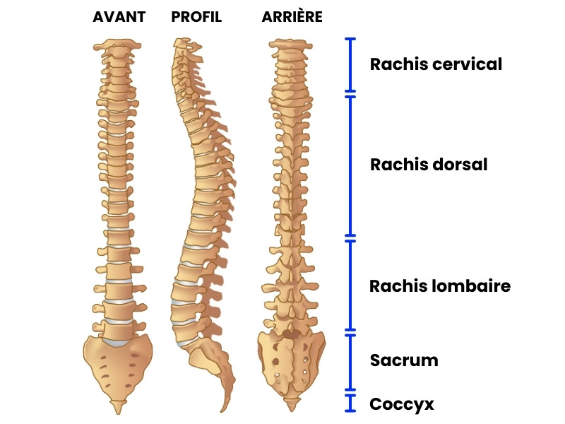 hernie-discale-rachis.jpg